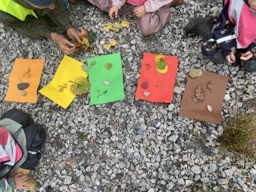 Vi har vært på fargejakt i skogen